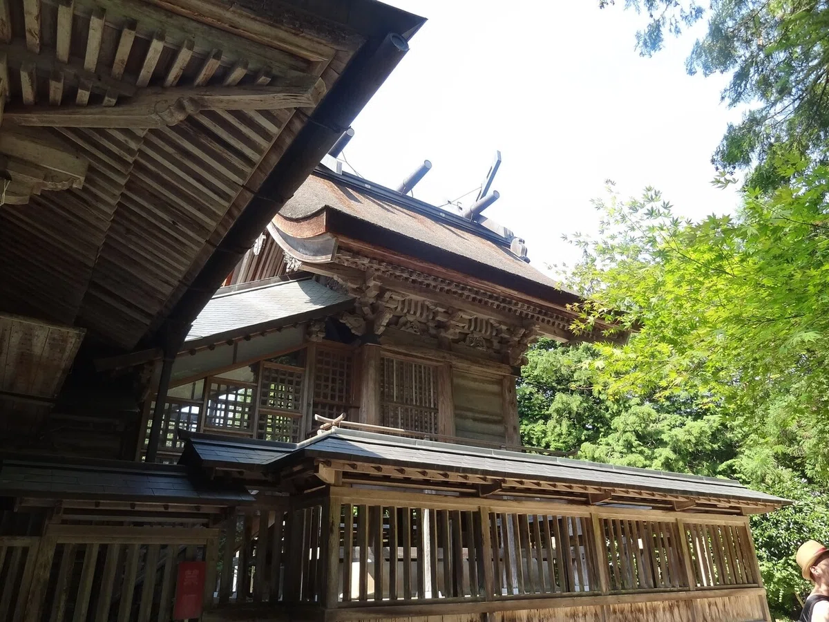 画像7