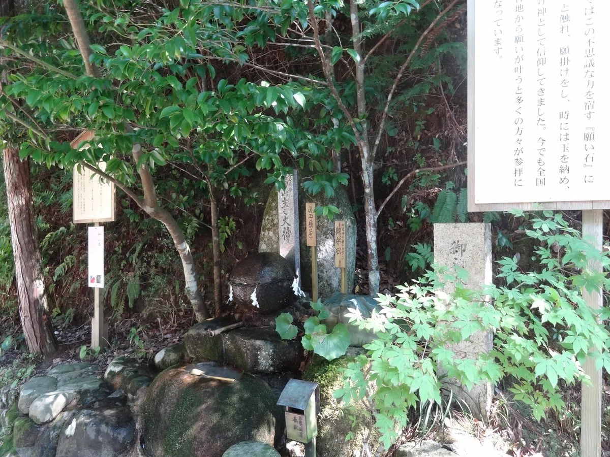画像9