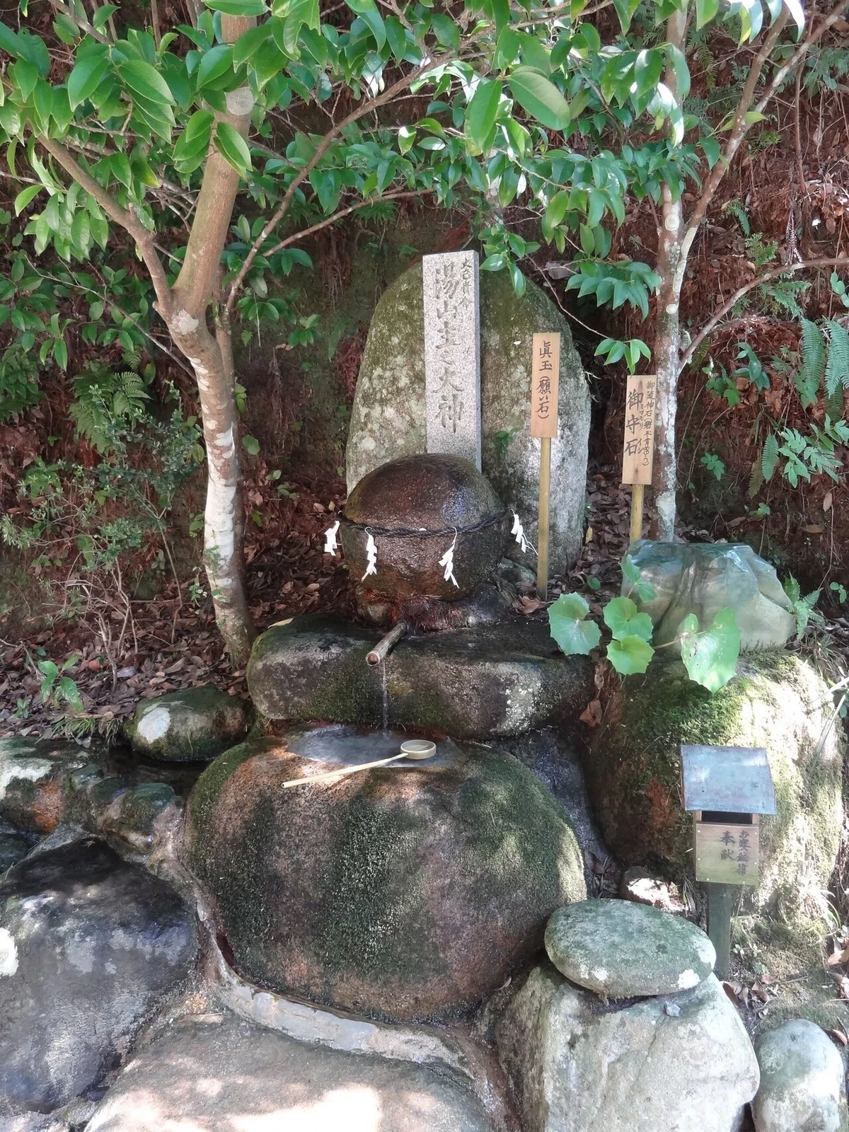 画像10