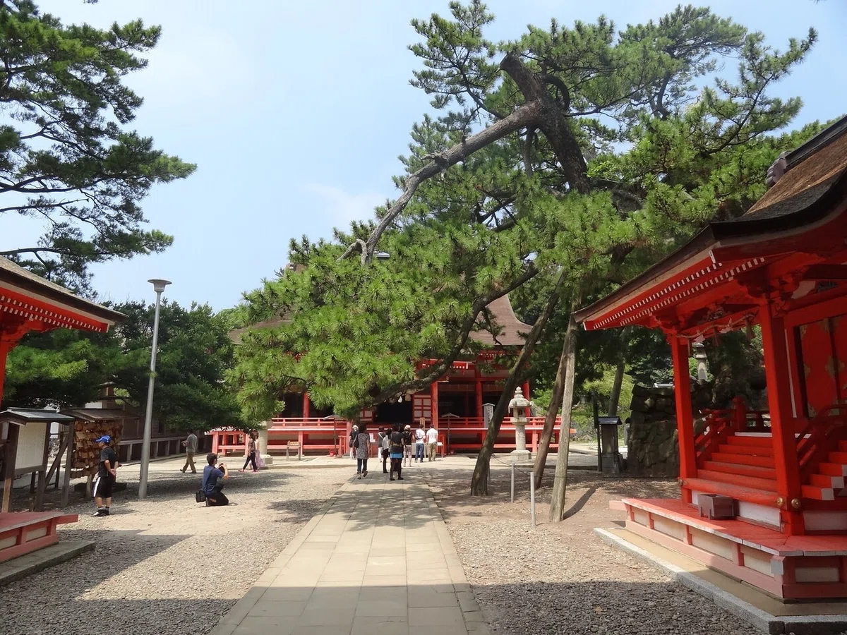 画像4