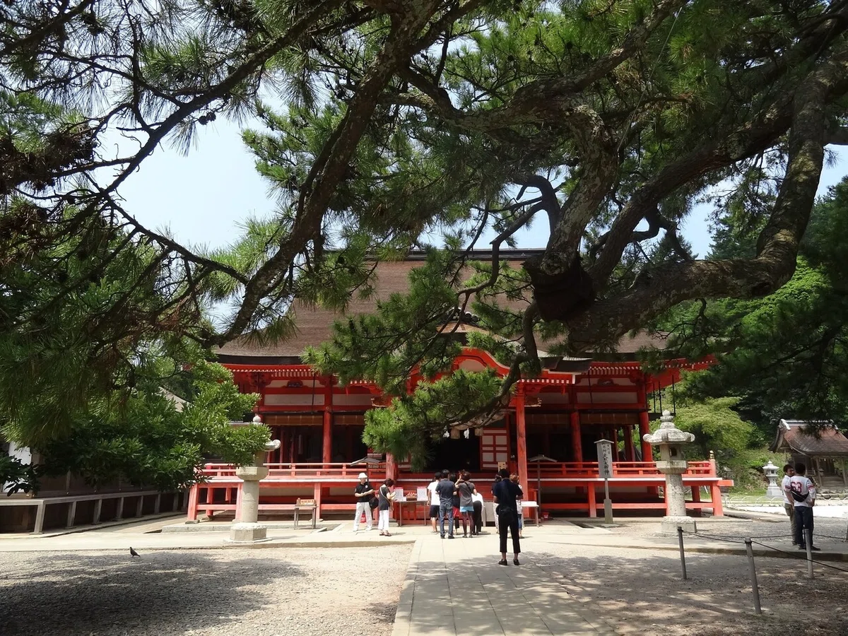 画像5