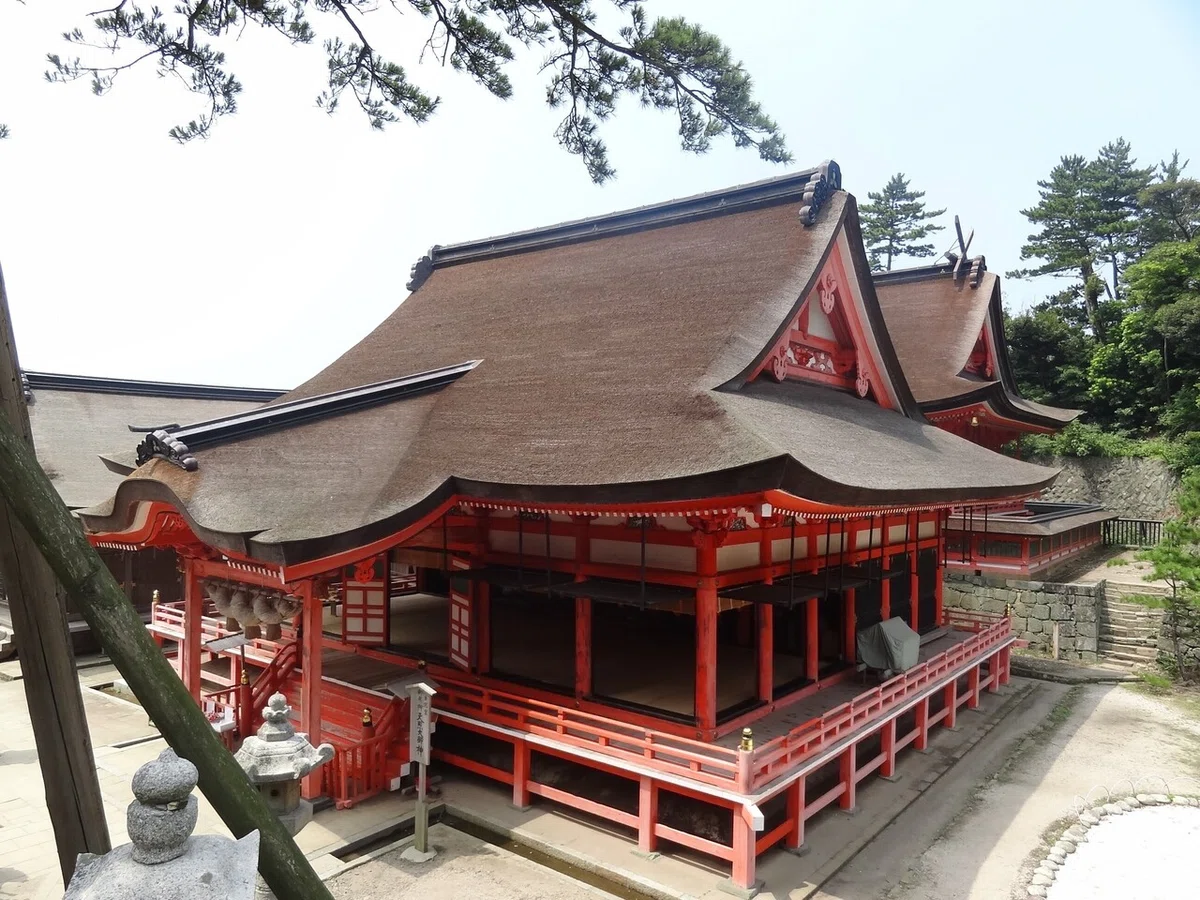 画像7