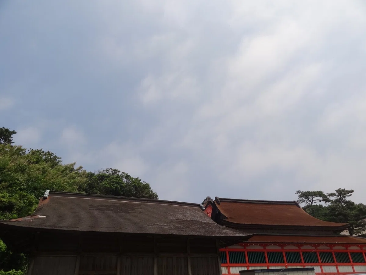 画像9