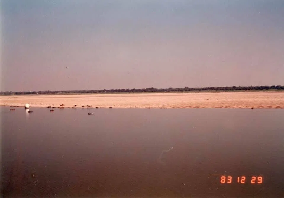 画像11
