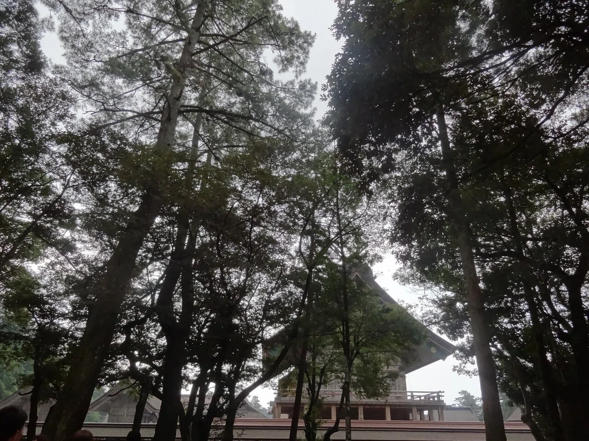 画像10