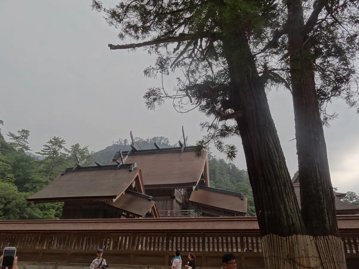 画像14