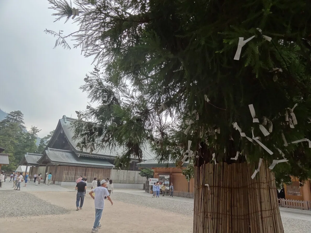 画像19