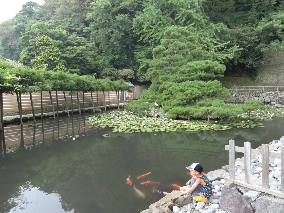 画像22