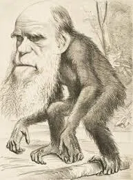 ç»å4