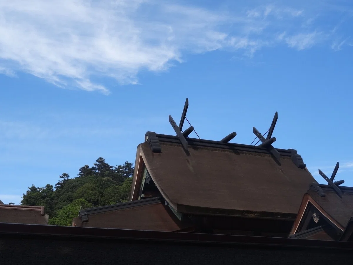 画像31