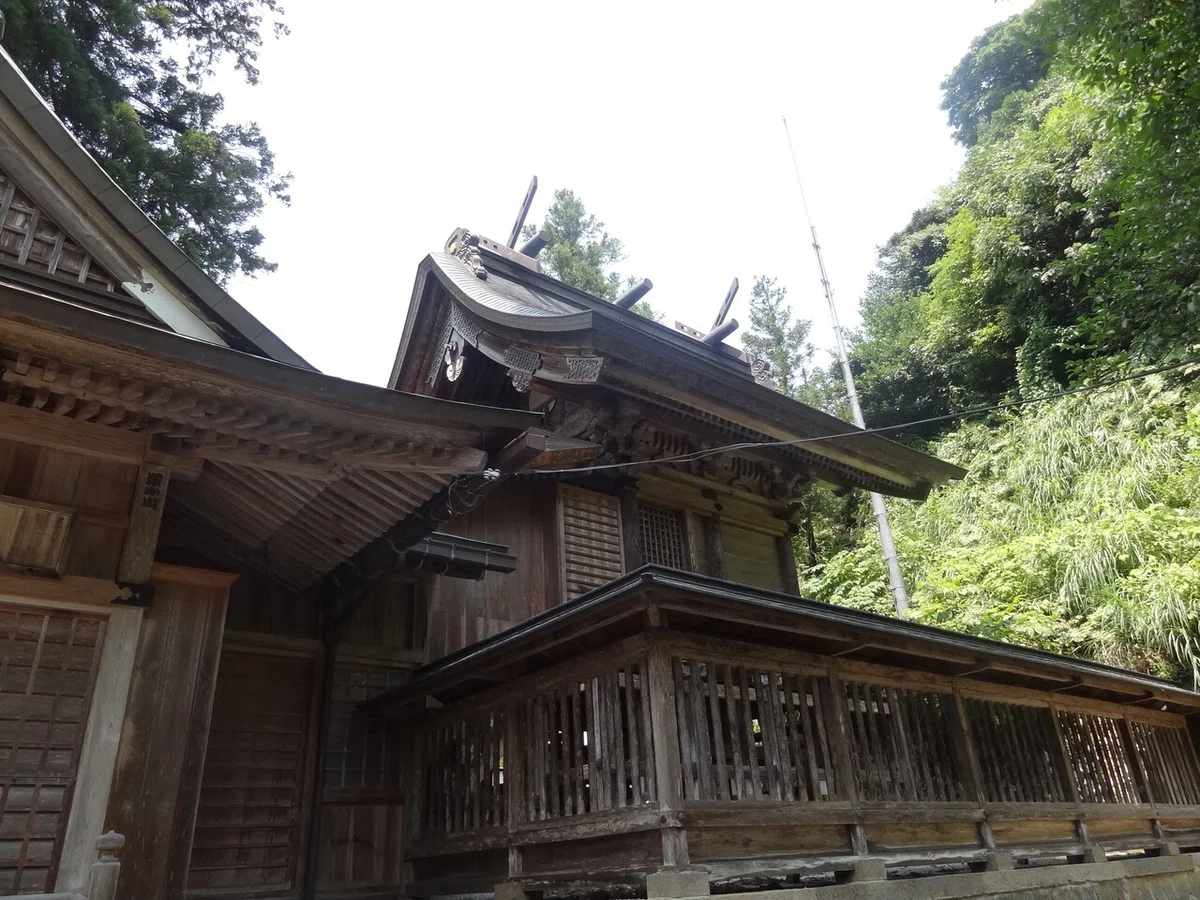画像5