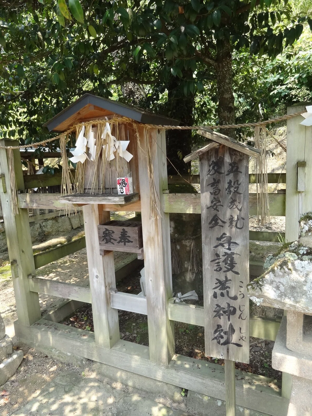 画像8