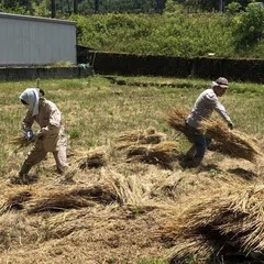 こんなところに名作家具。～天童木工の丹下健三、墨会館の椅子