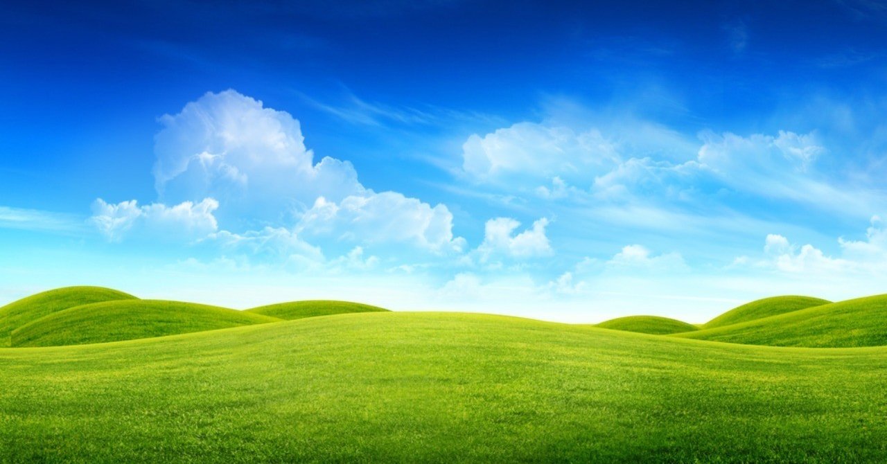 時価総額100億円以下マザーズ草コイン44選！草コインから抜け出す確率は◯%｜梅木 雄平