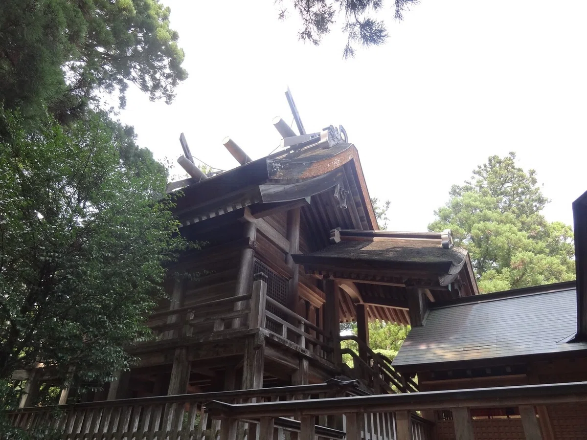 画像6