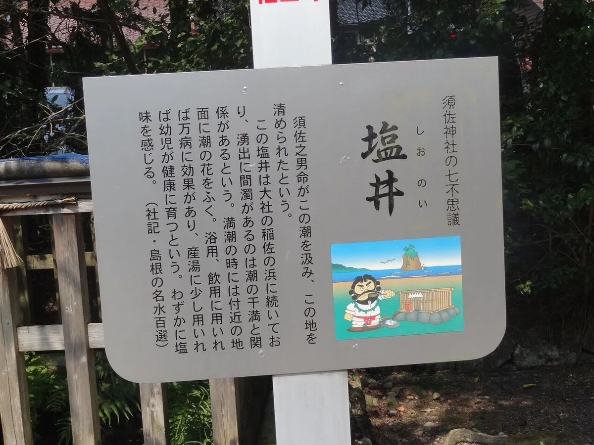 画像8