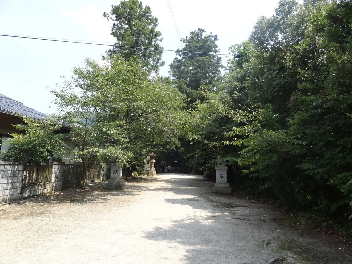 画像9