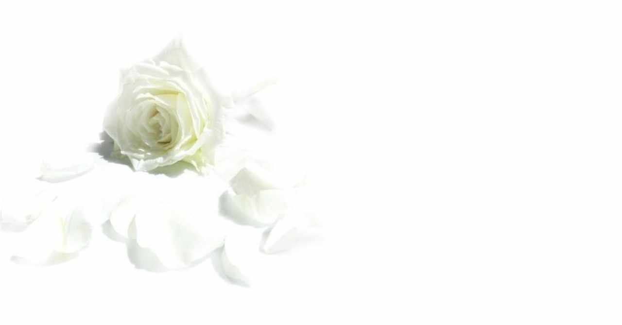 白薔薇の剣 の新着タグ記事一覧 Note つくる つながる とどける