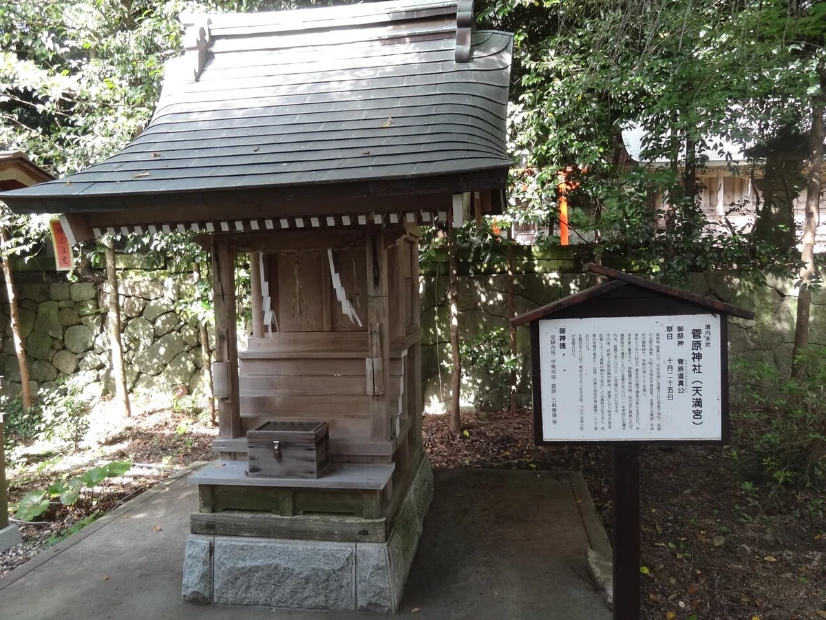 画像7