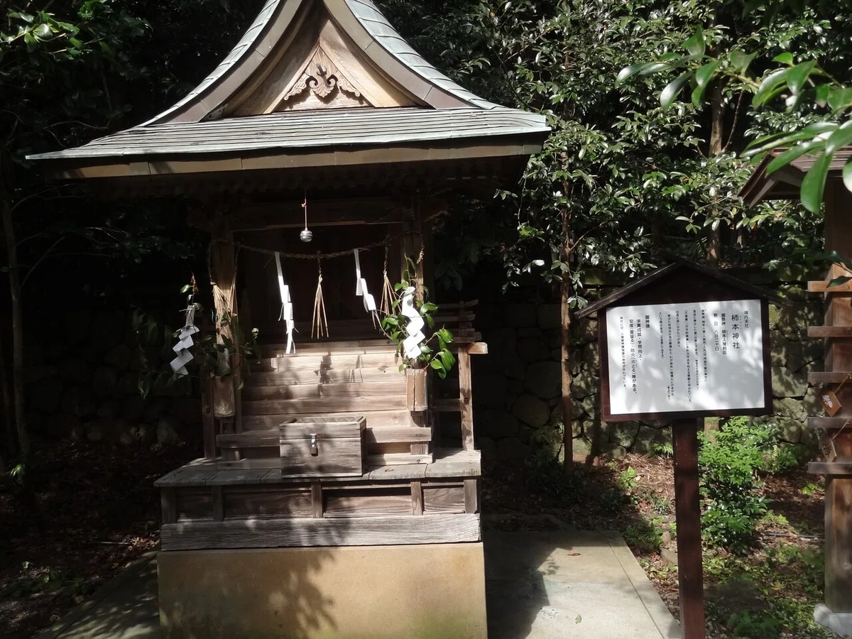 画像8