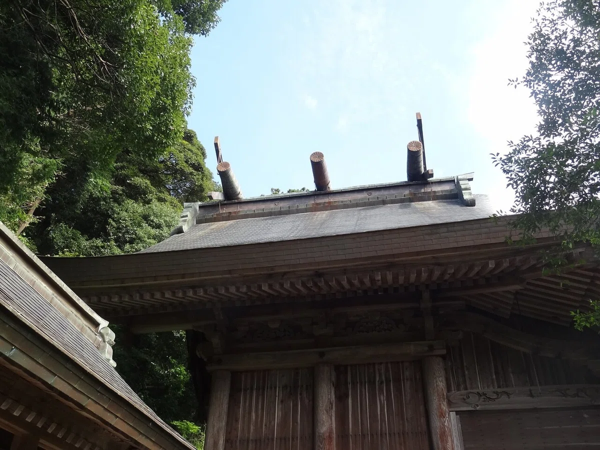 画像9