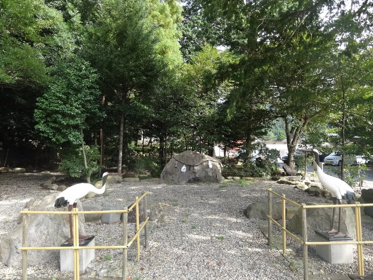画像11