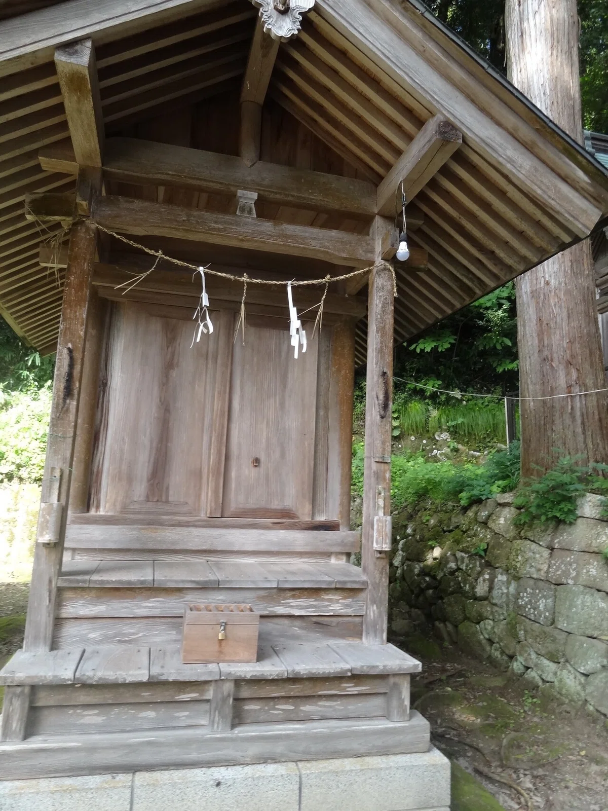 画像15