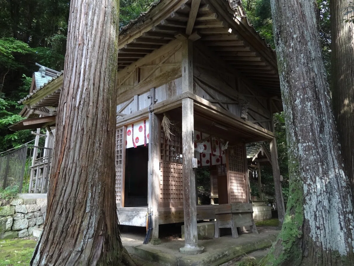 画像16