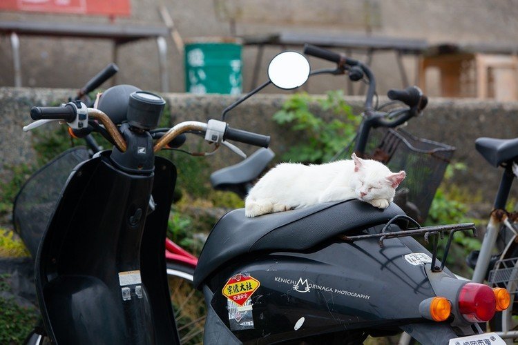 バイクの上でみんなの安全を見守るアルバイト