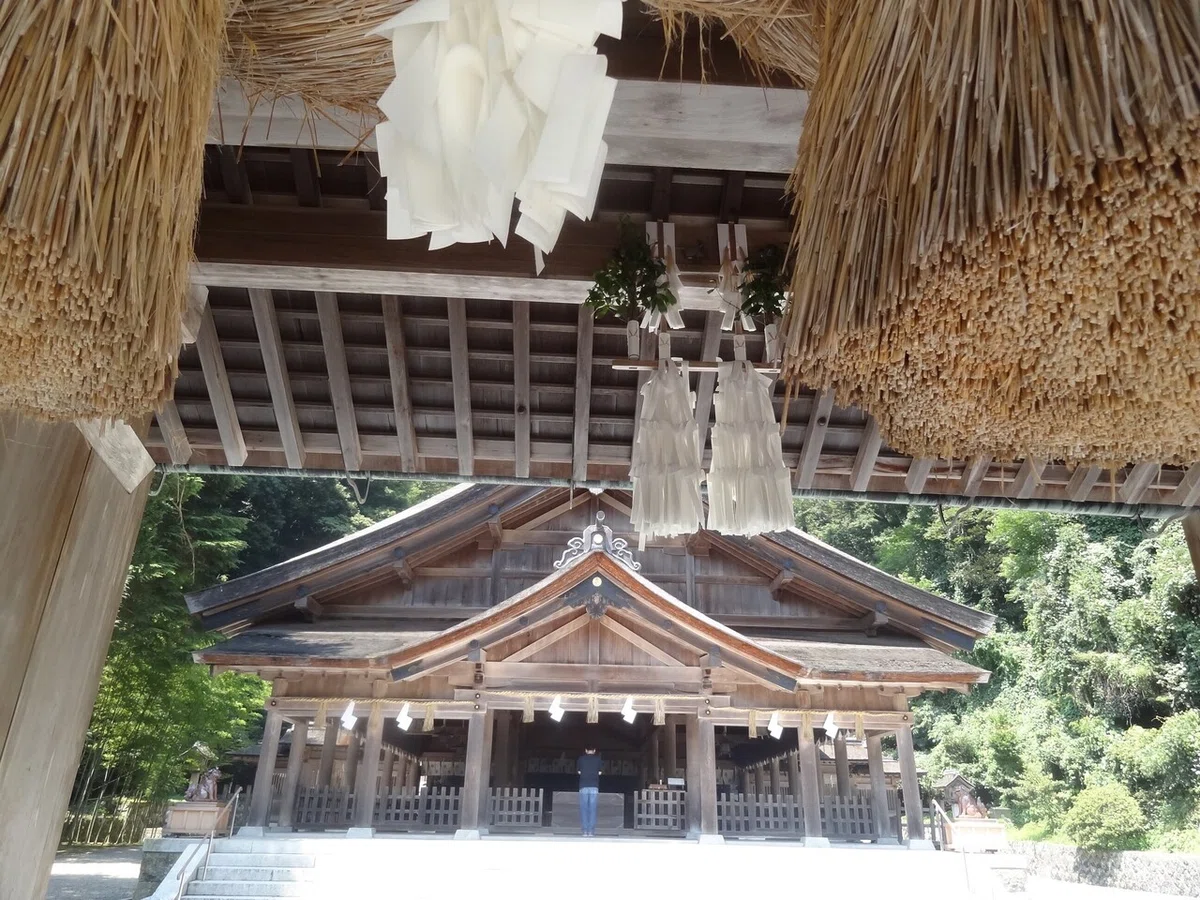 画像4