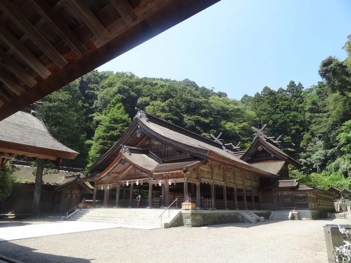 画像7