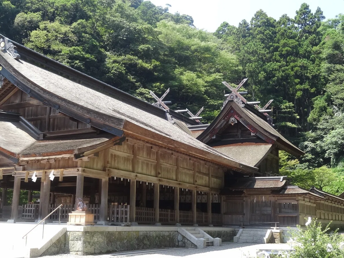画像8