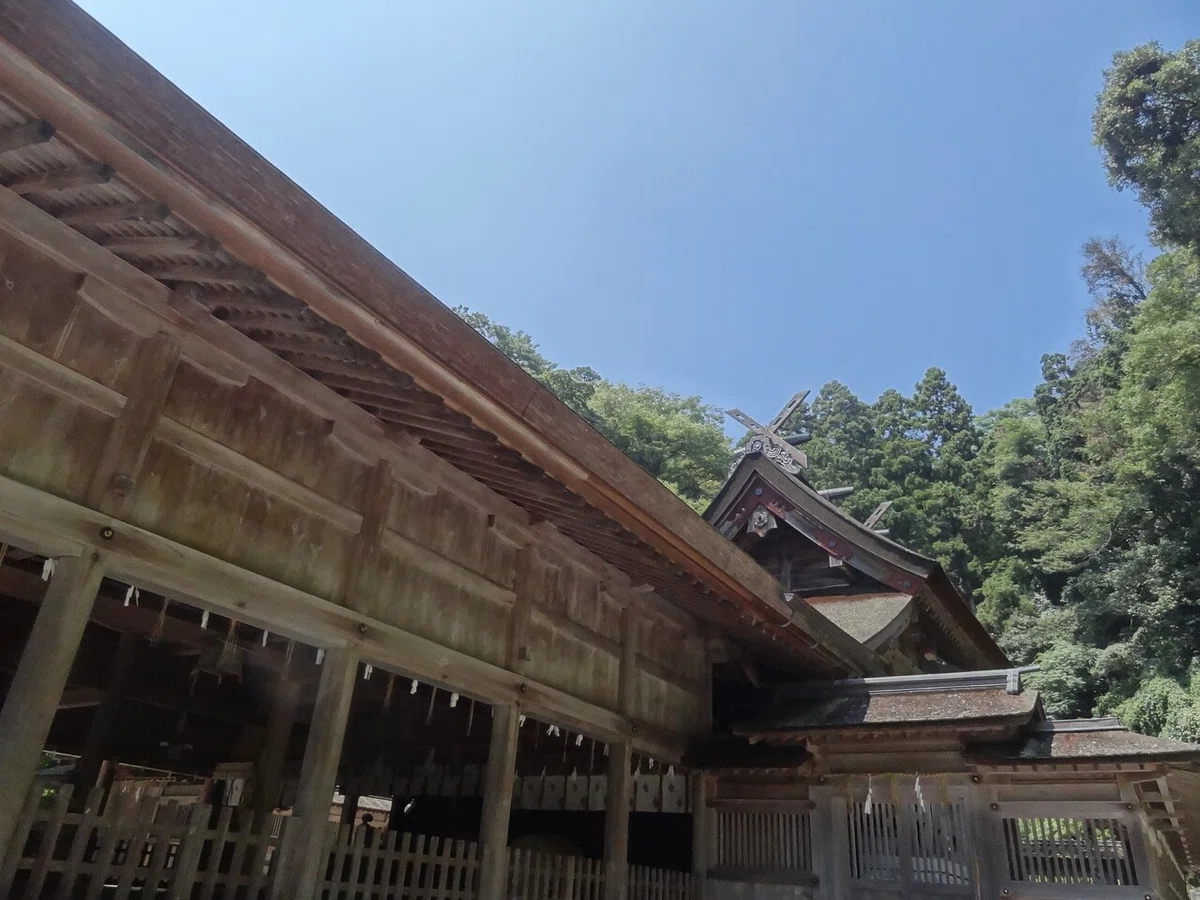 画像10