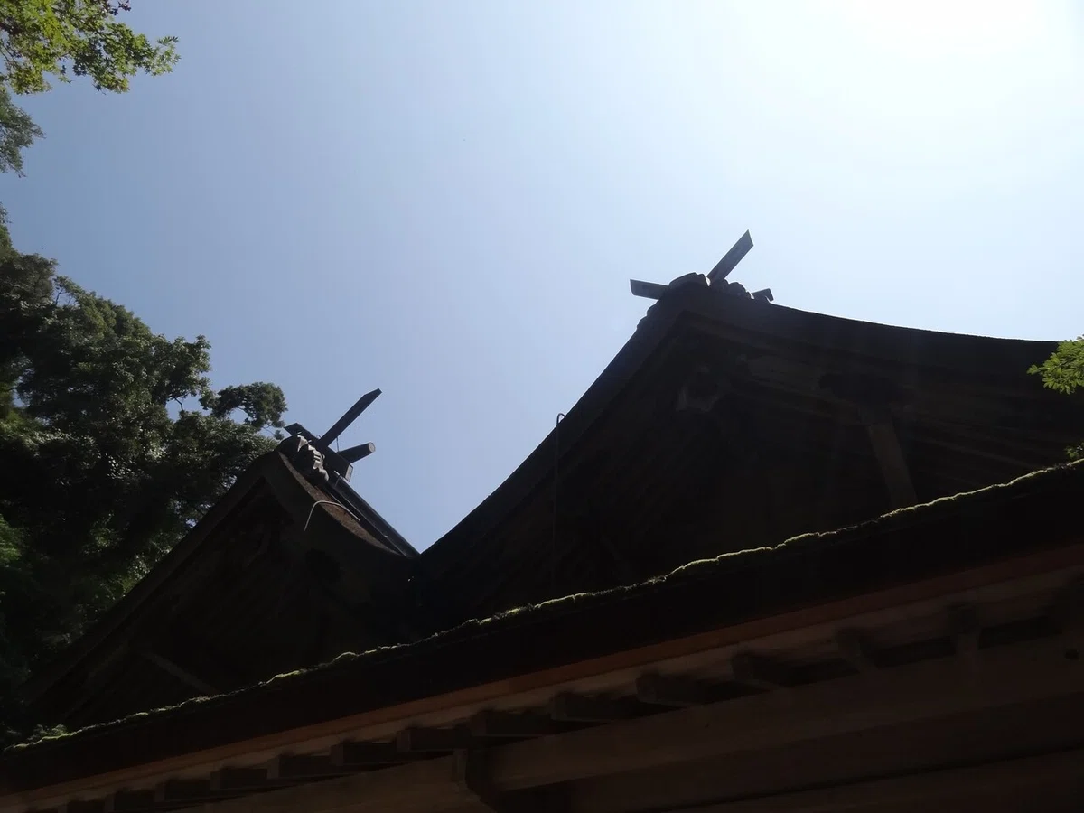 画像11