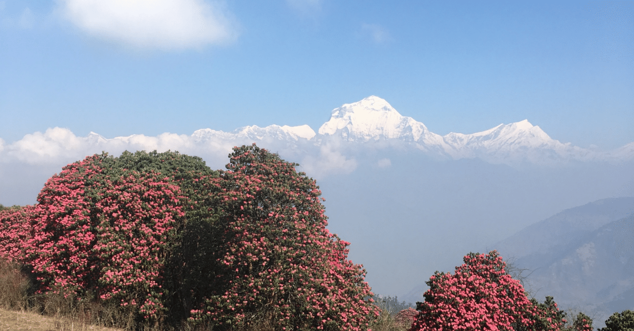 スタートアップで働くということ