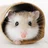ひまじん33ごう🐹|十勝のnoter