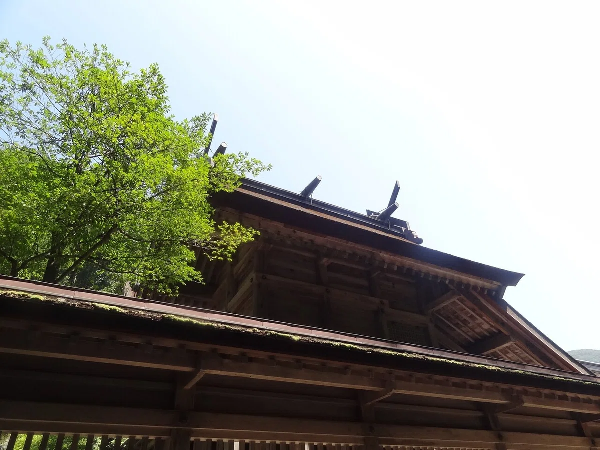 画像12