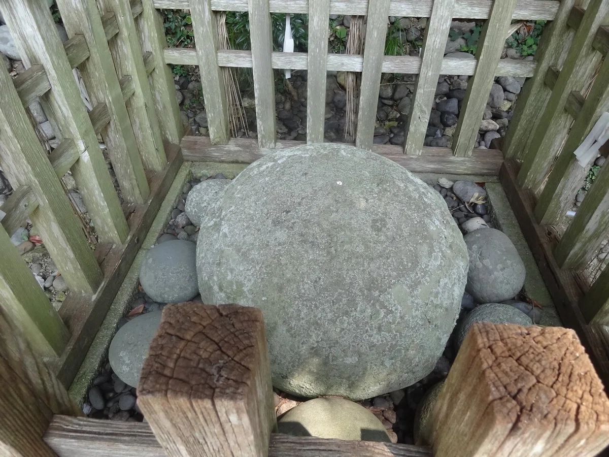 画像19