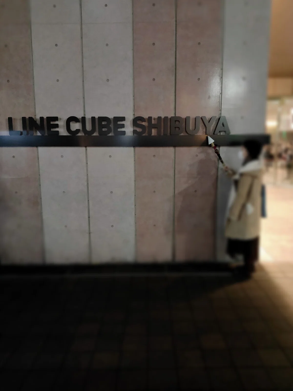 画像14