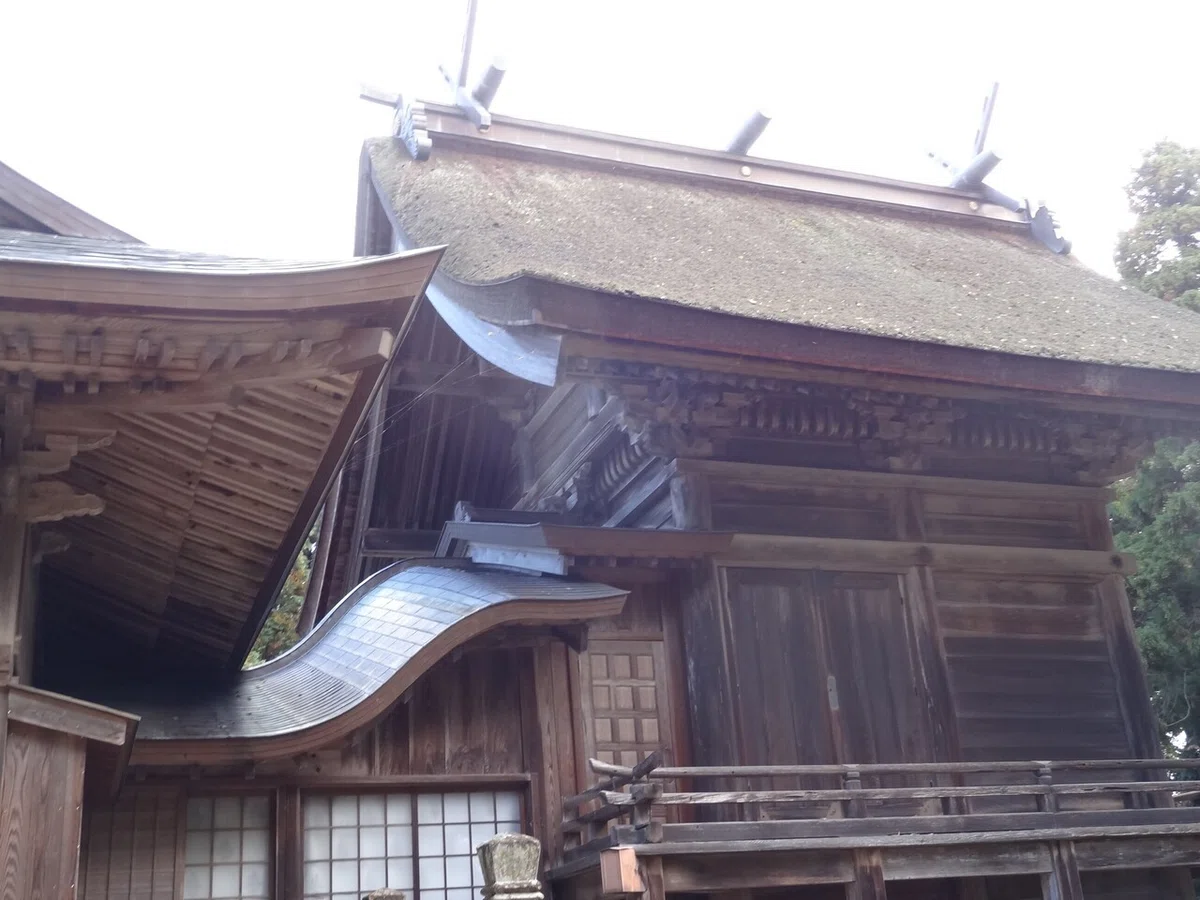 画像5
