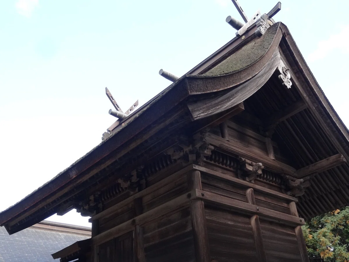 画像7