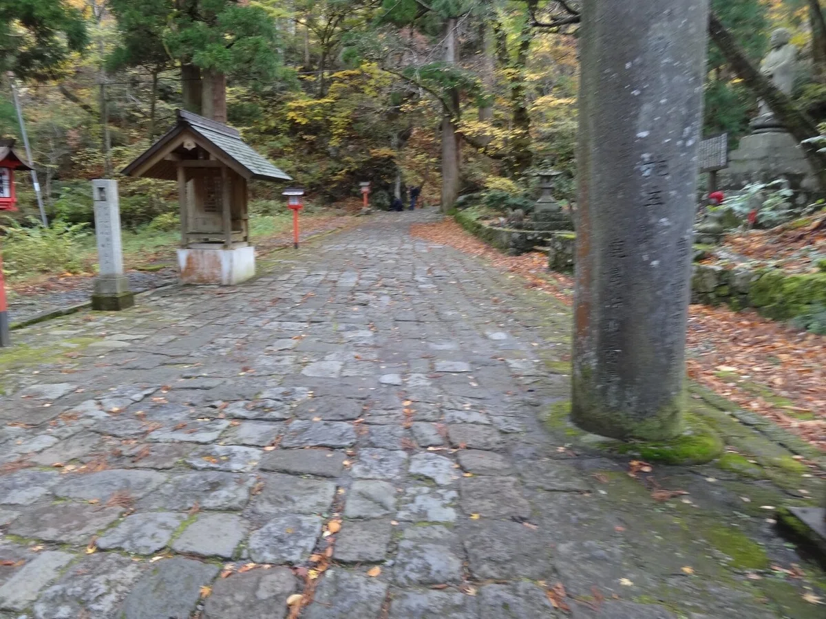 画像13