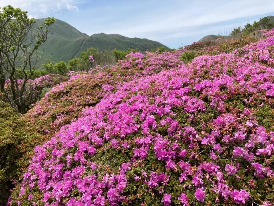 画像10