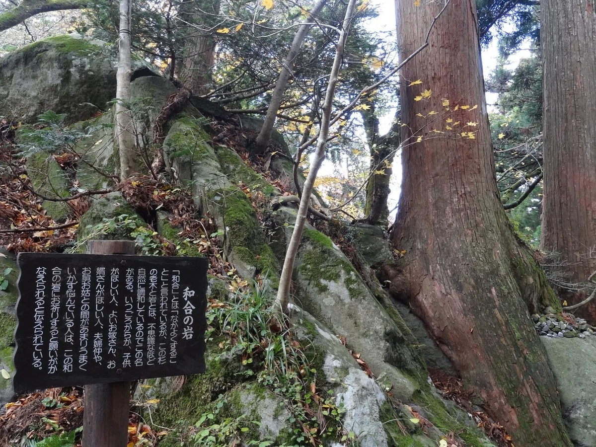 画像18