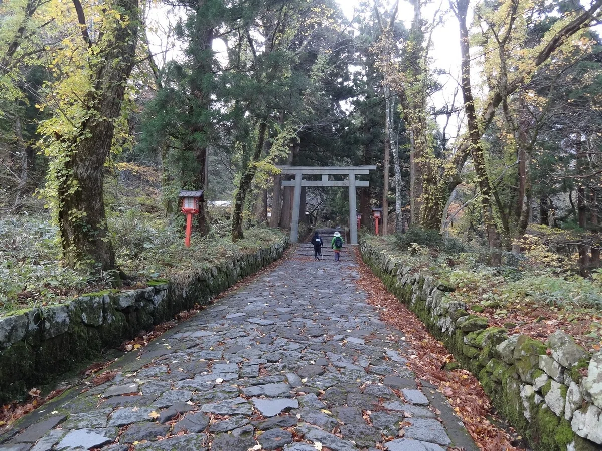 画像19