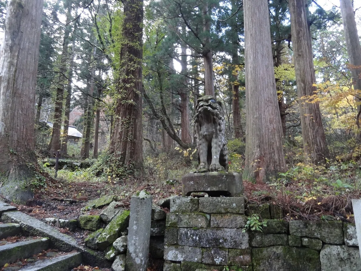 画像27