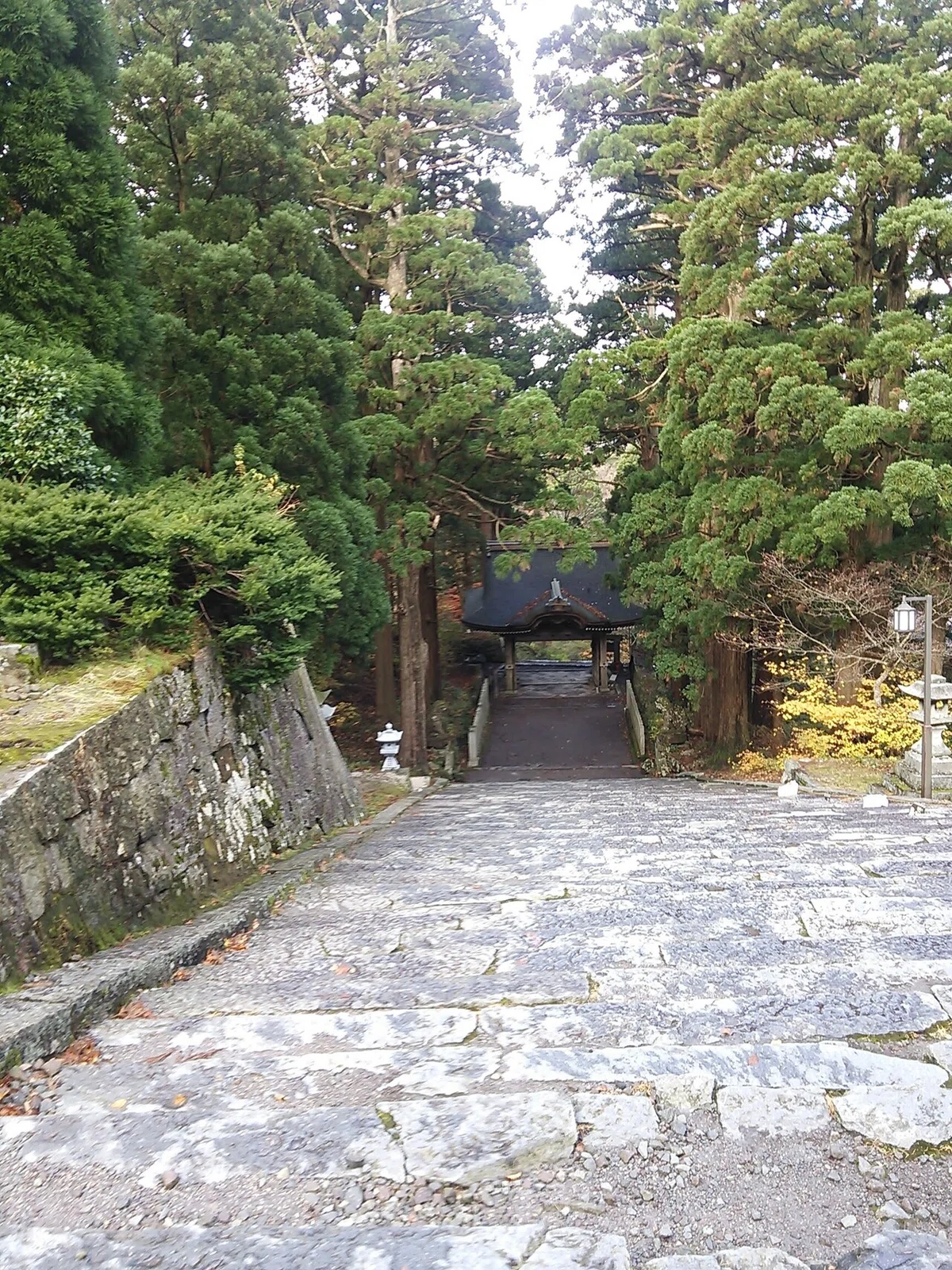 画像44