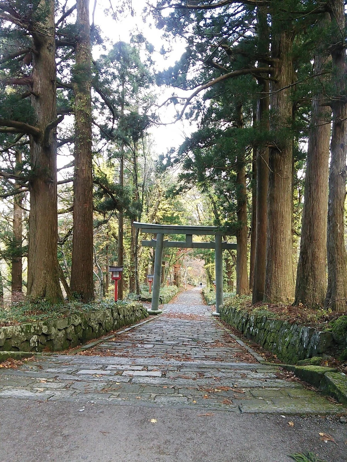 画像45