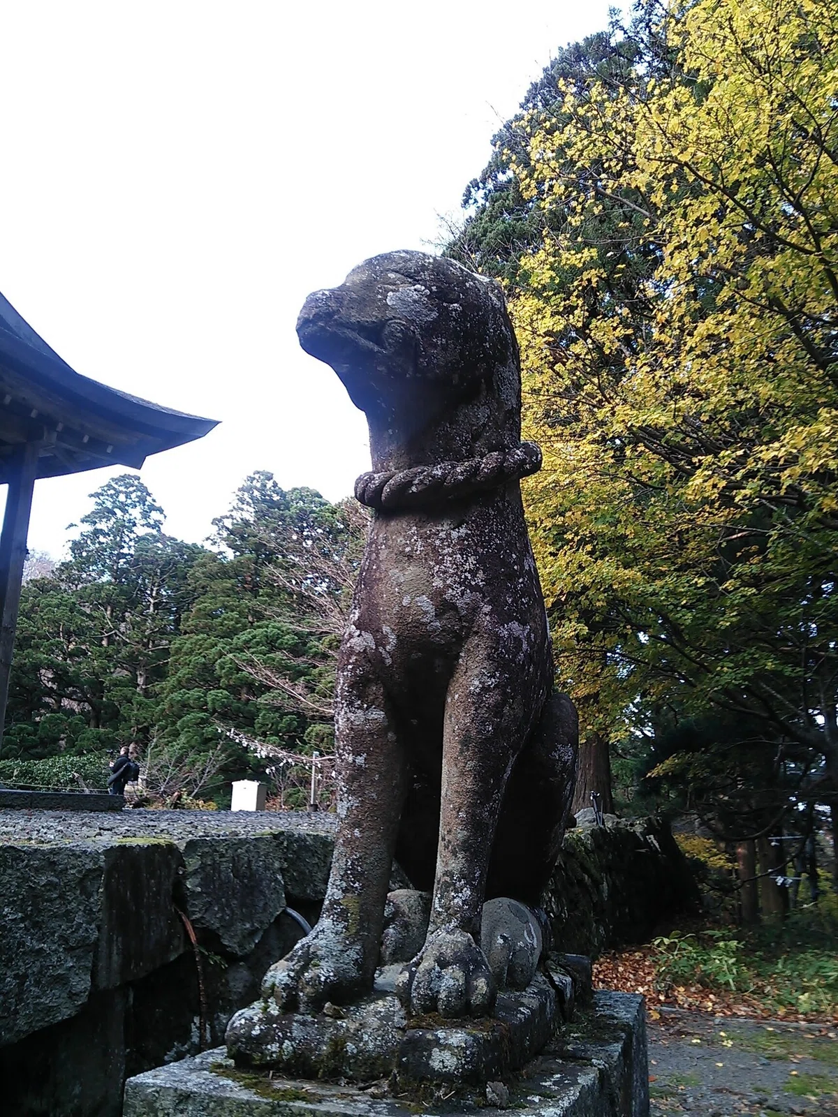 画像47