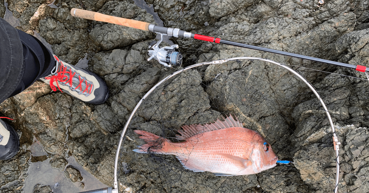 最高 のアウトドア・釣り・旅行用品 - フエルコ711-5s ケースなし